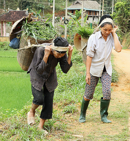 Pu Luong, Northern Vietnam