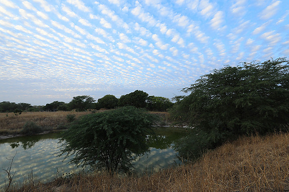 Clouds reflection