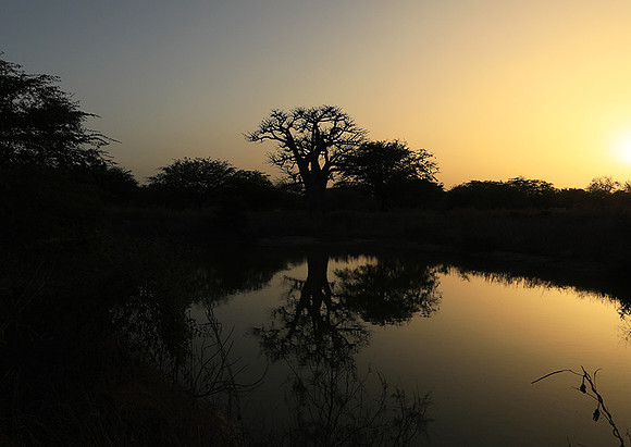 Sunset  - Senegal