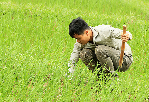 Pu Luong, Northern Vietnam