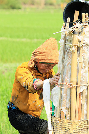Northern Vietnam