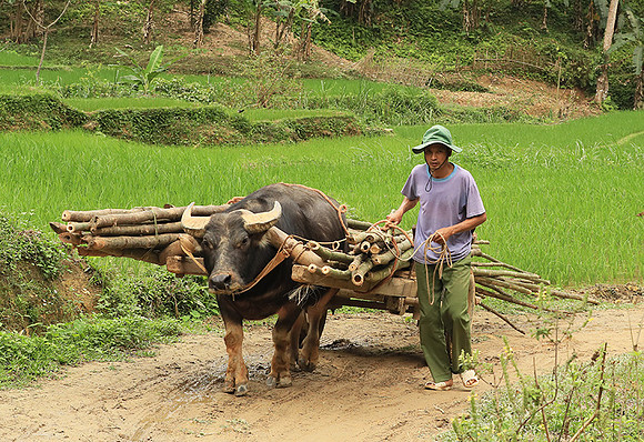 Pu Luong, Northern Vietnam