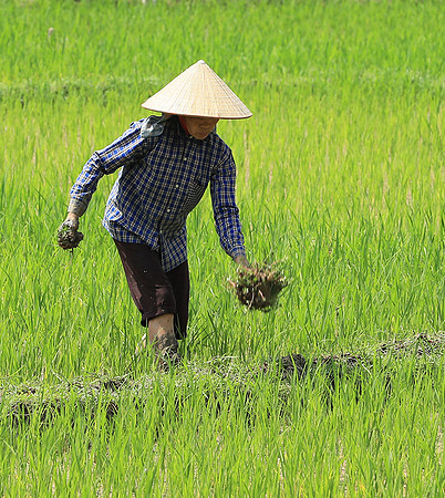 At Mai Chau  - northern Vietnam