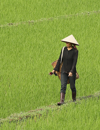 At Mai Chau  - northern Vietnam
