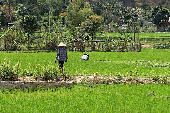 At Mai Chau  - northern Vietnam