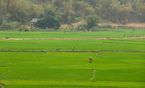 At Mai Chau  - northern Vietnam