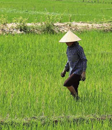At Mai Chau  - northern Vietnam