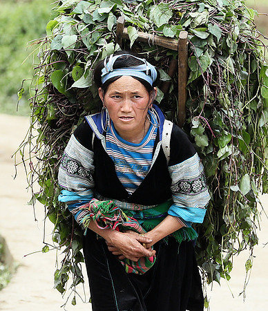 Hmong ethnic group - Northern Vietnam