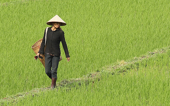 At Mai Chau  - northern Vietnam