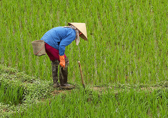 At Mai Chau  - northern Vietnam
