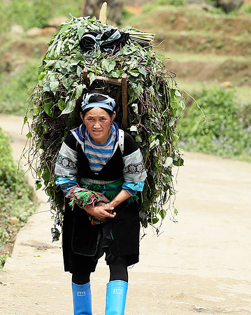 Hmong ethnic group - Northern Vietnam