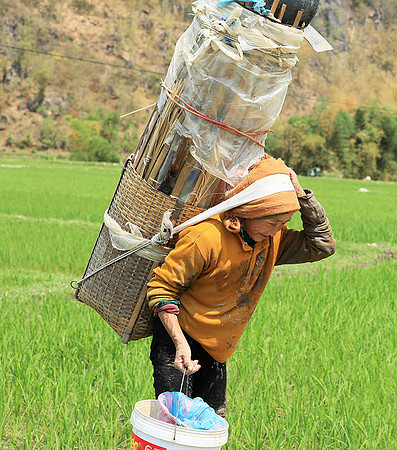 Northern Vietnam