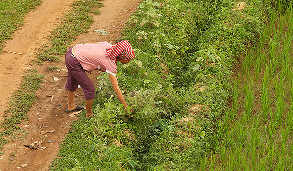 At Mai Chau  - northern Vietnam