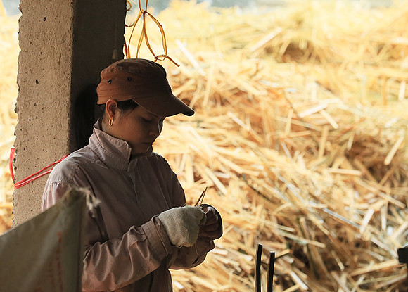 Factory - Mai Chau - Northern Vietnam