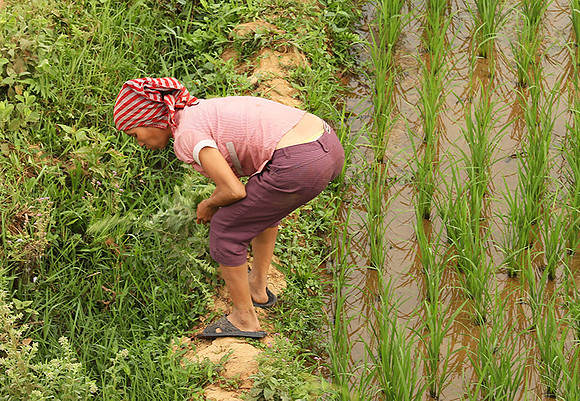 At Mai Chau  - northern Vietnam