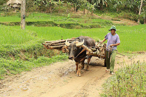 Pu Luong, Northern Vietnam