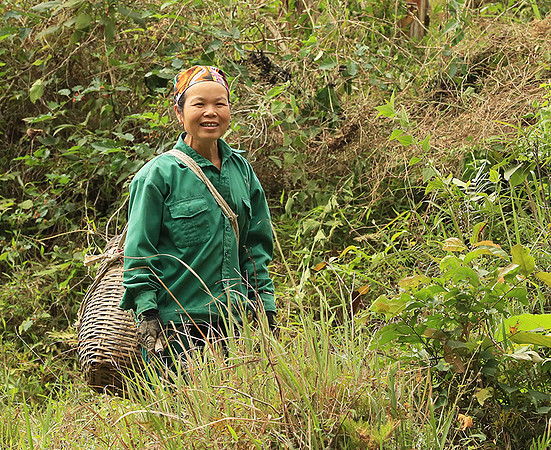 Pu Luong, Northern Vietnam