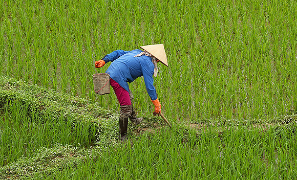 At Mai Chau  - northern Vietnam