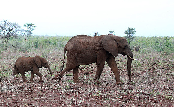 Meru NP