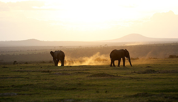 Laikipia