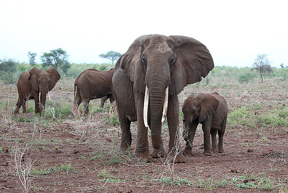 Meru NP
