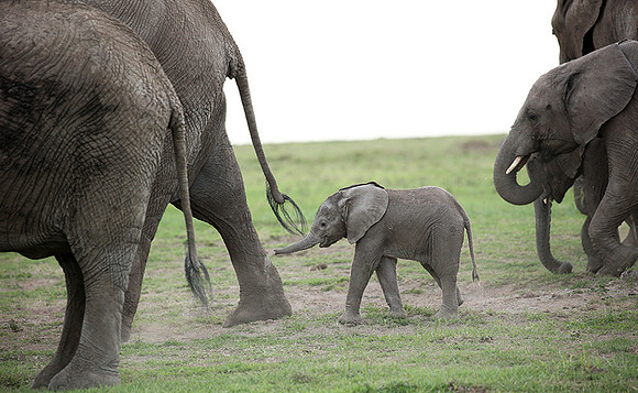 Laikipia