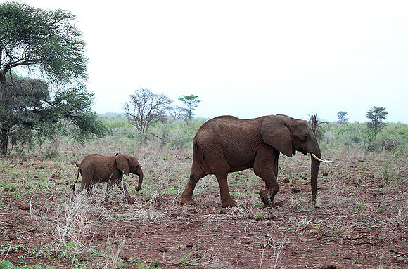 Meru NP