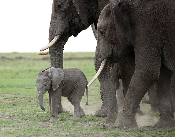 Laikipia