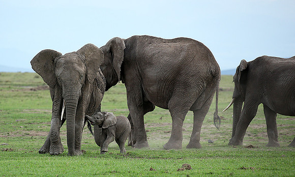 Laikipia