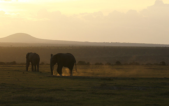 Laikipia