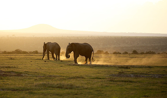 Laikipia