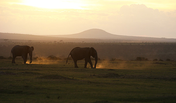 Laikipia