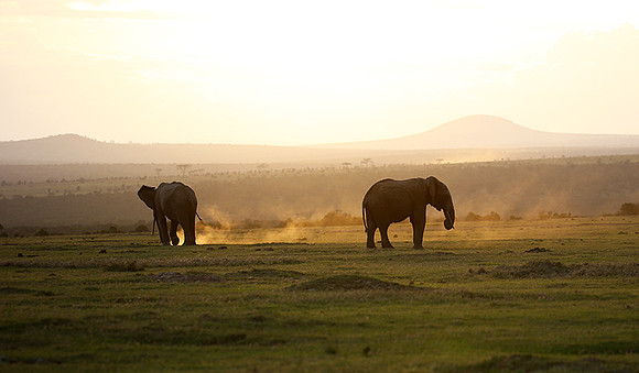Laikipia