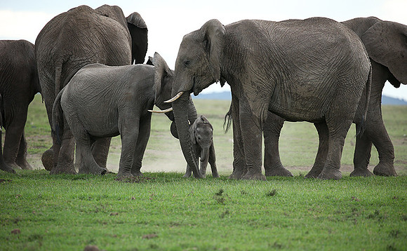 Laikipia