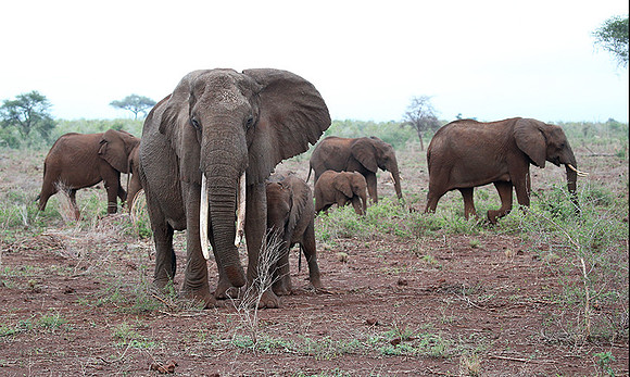 Meru NP