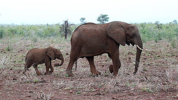 Meru NP