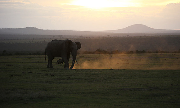 Laikipia