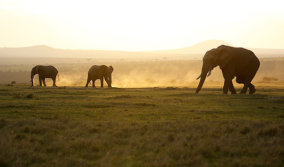 Laikipia