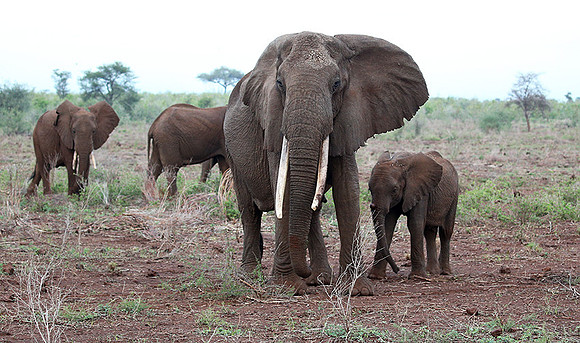 Meru NP