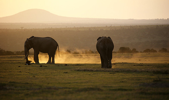 Laikipia