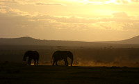Laikipia