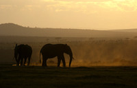 Laikipia