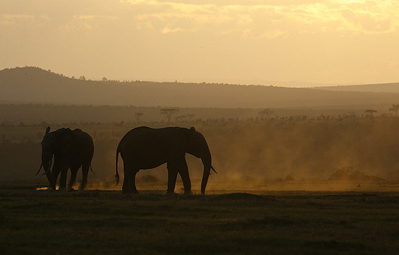 Laikipia