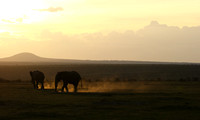 Laikipia