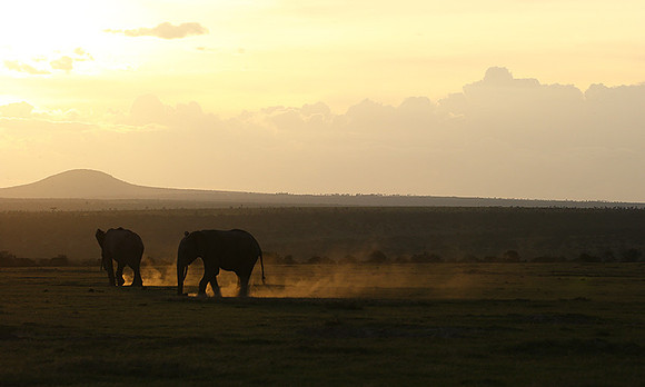 Laikipia
