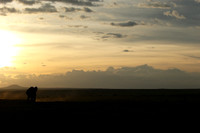 Laikipia