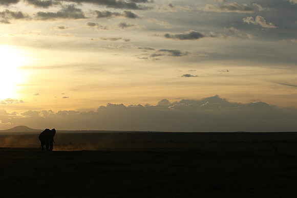 Laikipia