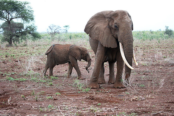 Meru NP