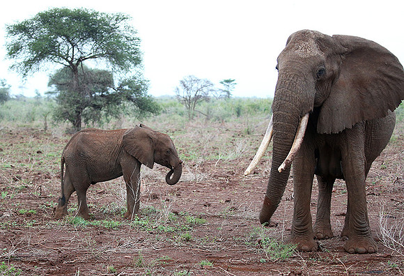 Meru NP