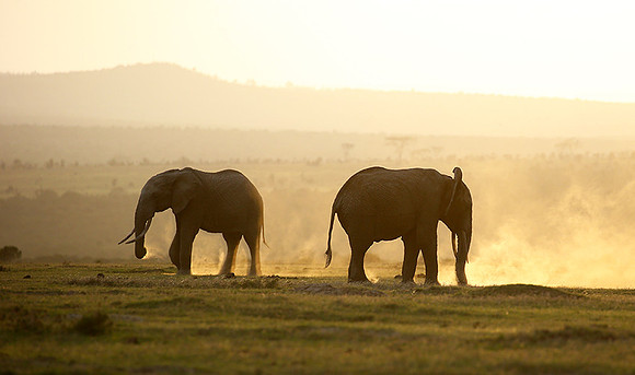 Laikipia